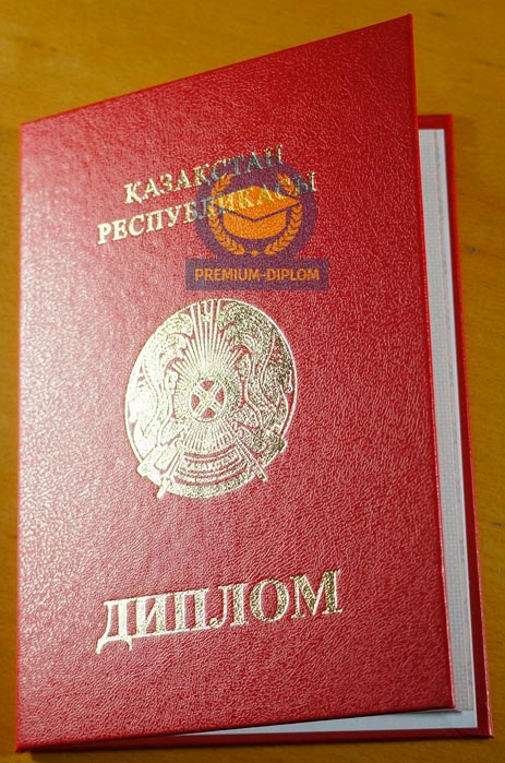Магистр 2009 - 2025 с отличием (Казахстан) - фото