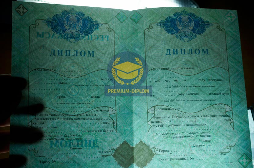 Специалист 2009-2025 (Казахстан) - фото